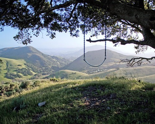 Have a Swing at the Poly Canyon, San Luis Obispo