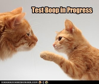 Test Boop in Progress