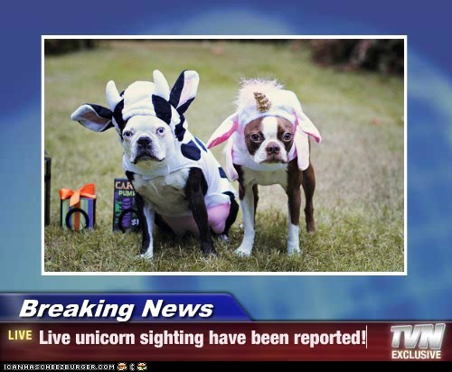 Breaking News - Live unicorn sighting have been reported!