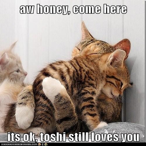 aw honey, come here  its ok, toshi still loves you