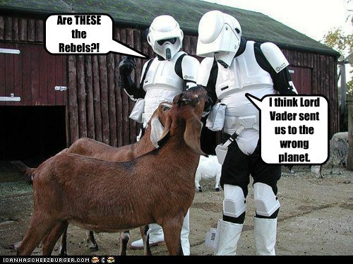 I Don't Know, They Seem Pretty Rebellious
