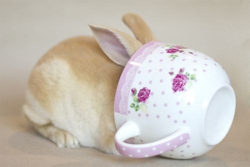 Bunday: Tea Party 