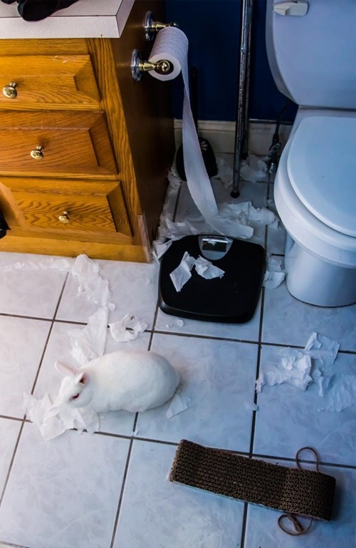 Bunday: TP