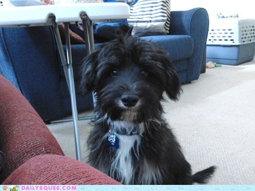 Reader Squee: Peanut