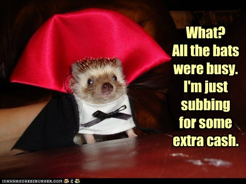 Hedgehog Needs Hedge Fund.