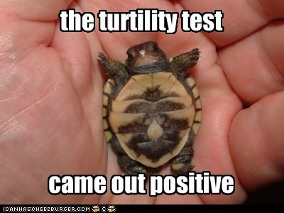 We're Going to Have a Squee