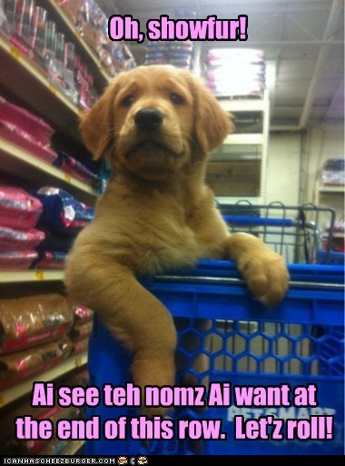 Dis iz the way bein treated like a dog shud be
