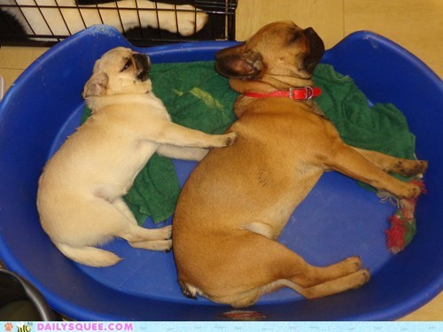 Reader Squee: Twinsies!