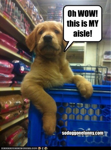 Oh WOW! this is MY aisle!