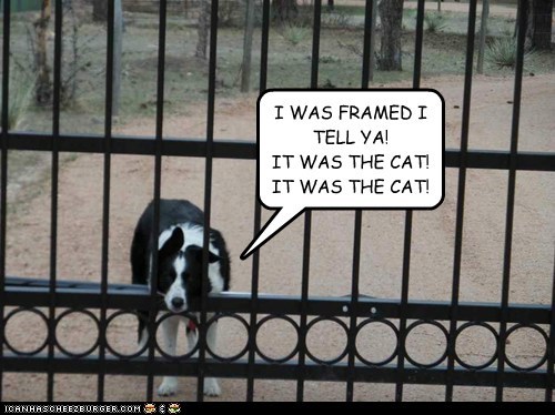 I WAS FRAMED!