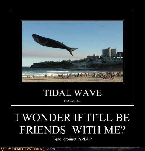 I WONDER IF IT'LL BE FRIENDS  WITH ME?