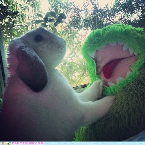 Reader Squee: Epic Battle 