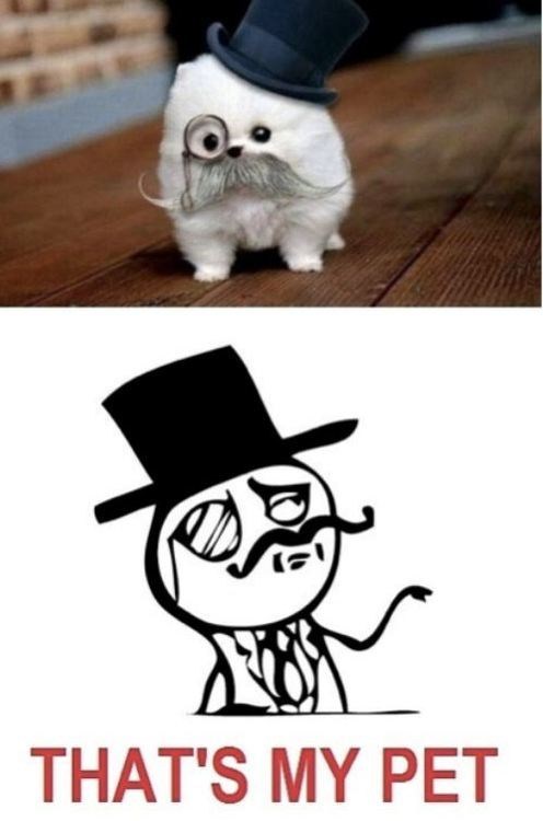 Like a Sir