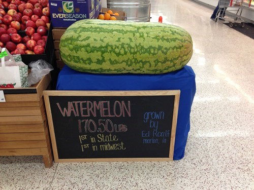 Huge Melon WIN