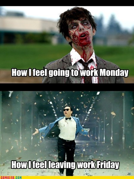 Moday VS Friday