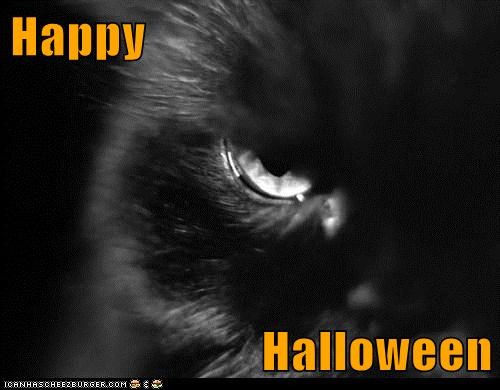 Happy  Halloween