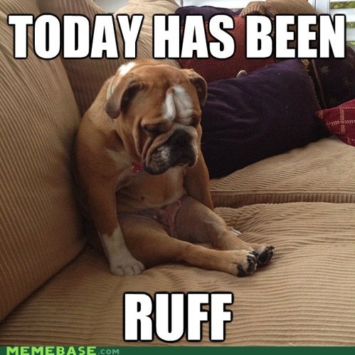Ruff Day