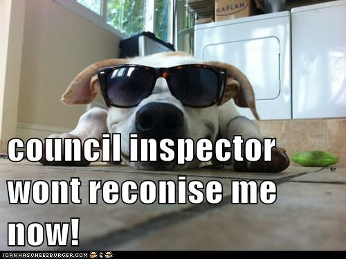 council inspector wont reconise me now!