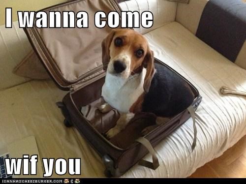 I wanna come  wif you