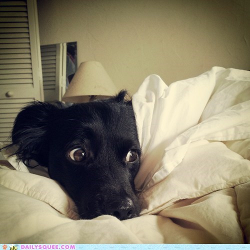 Reader Squee: Do I Have to Get Up?