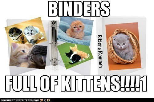 Kittens?  In My Binders?!  Now *This* is the Sort of Politics I Can Get Behind!