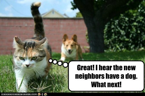 Great! I hear the new neighbors have a dog. What next!