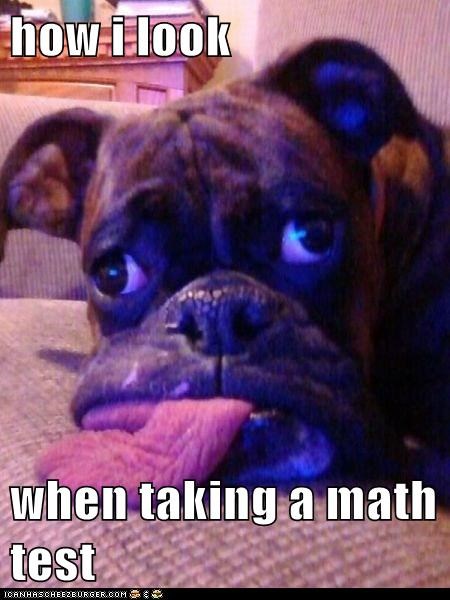 how i look  when taking a math test