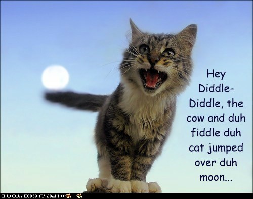 Hey  Diddle- Diddle, the cow and duh fiddle duh cat jumped over duh moon...