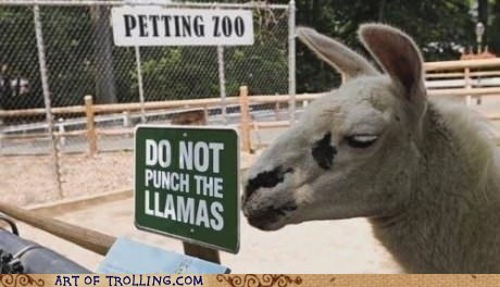 Honestly, Does This Require a Sign?