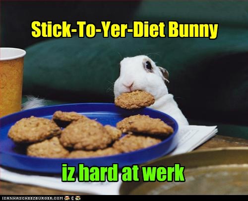 Good Job, There, STYD Bunny! I Lost ten Pounds Already!