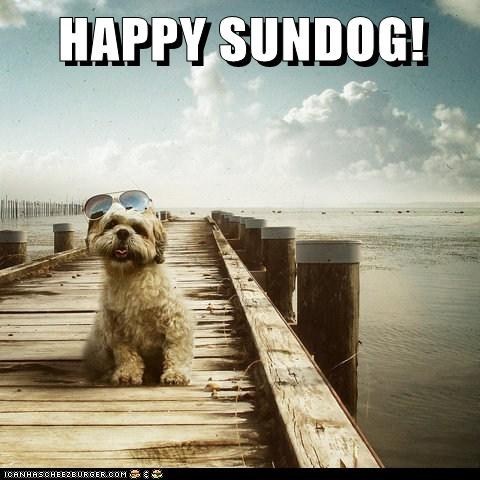 Happy Sundog! 