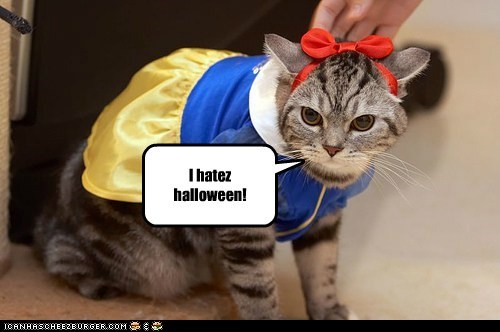I hatez halloween!