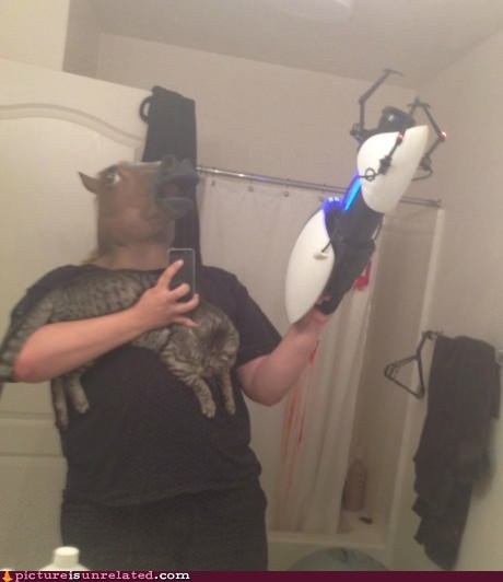 Meanwhile, On the Internet