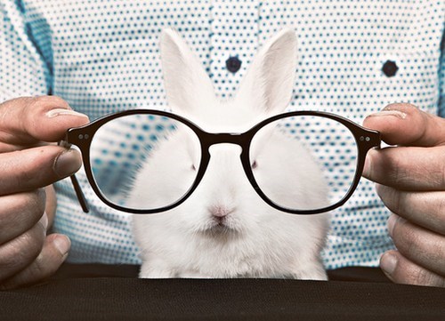 Bunday: Four-Eyes 