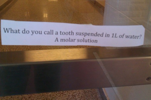 Feel Free to Chew On This Pun For a While