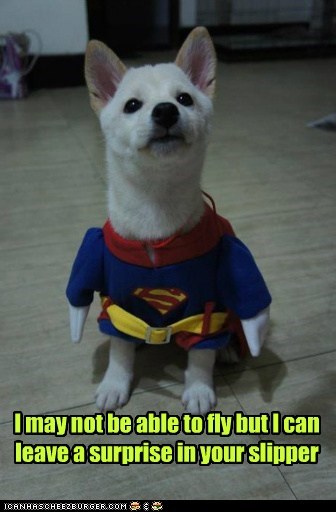 I may not be able to fly...