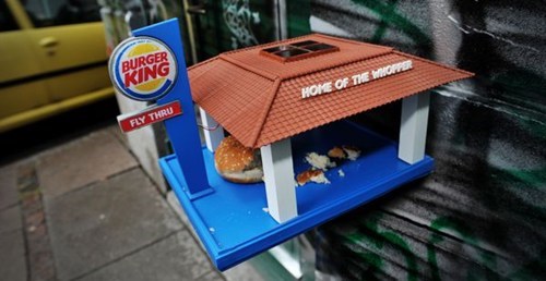 Bird Feeder WIN