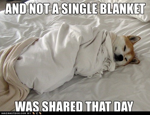 Blanket Hogging Dog