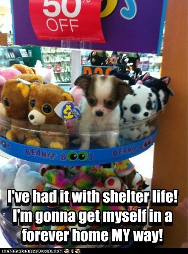 Whatever it takes!