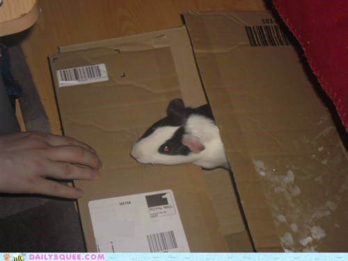 Reader Squee: Special Delivery