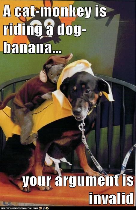 A cat-monkey is riding a dog-banana...  your argument is invalid