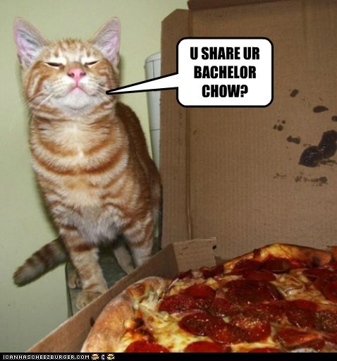 Kibble Extra Cheez