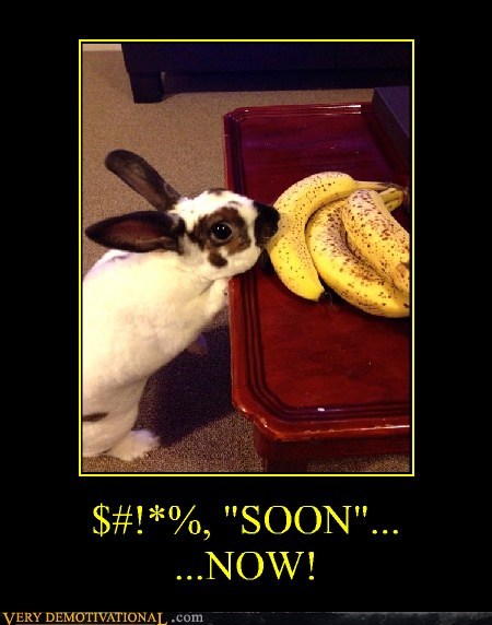 $#!*%, "SOON"... ...NOW!