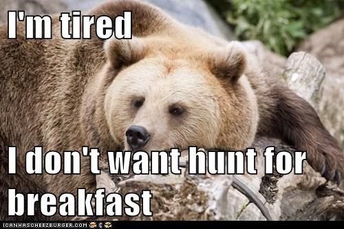 I'm tired  I don't want hunt for breakfast