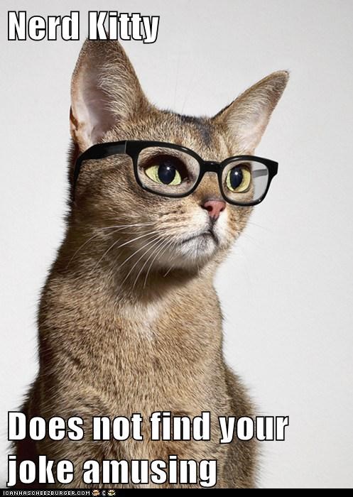 Nerd Kitty  Does not find your joke amusing