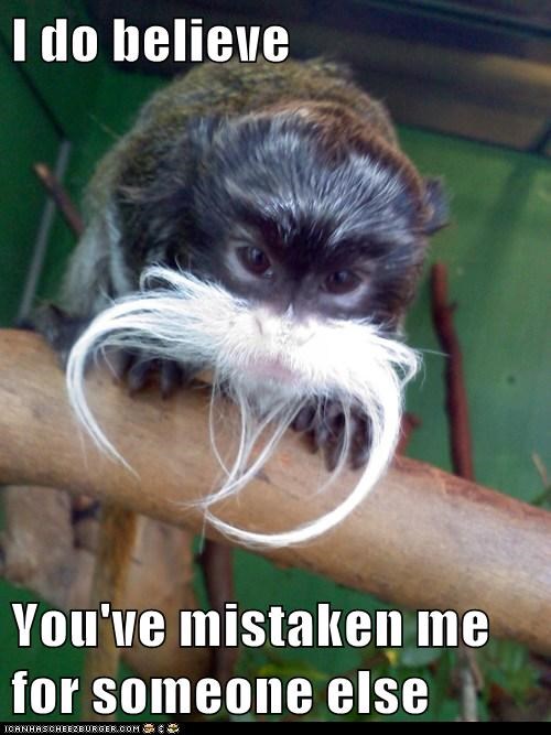 You See, I Have a Mustache
