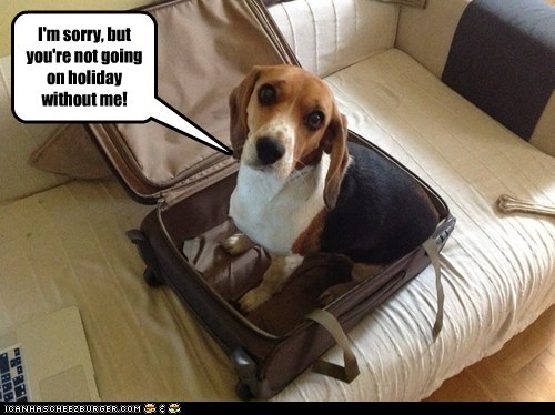 Take me with you!