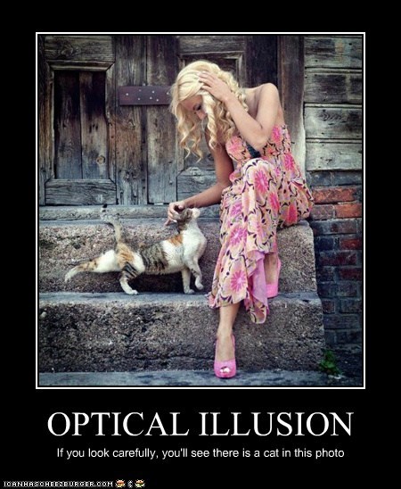 OPTICAL ILLUSION