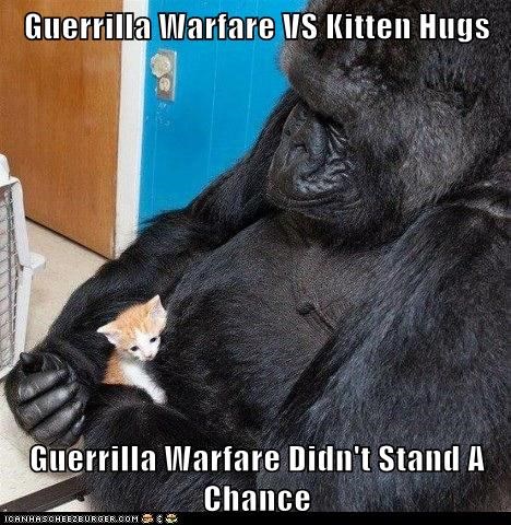 Guerrilla Warfare VS Kitten Hugs  Guerrilla Warfare Didn't Stand A Chance