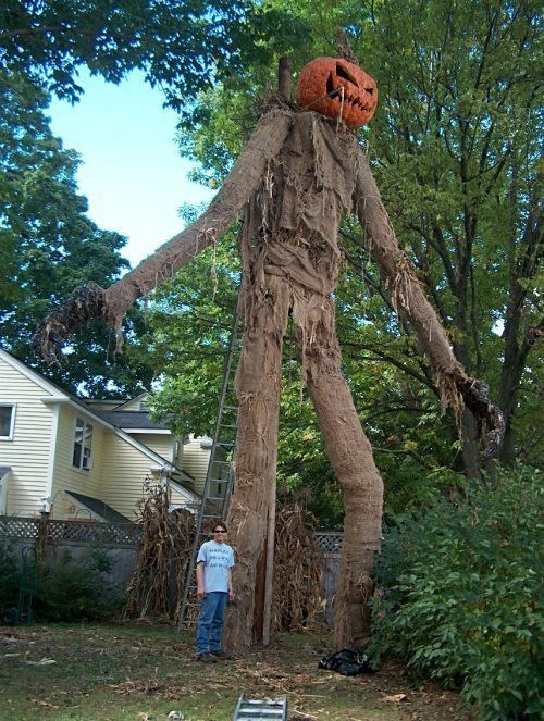 Halloween Scarecrow of the Day